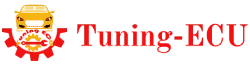 Tuning ECU Logo Header