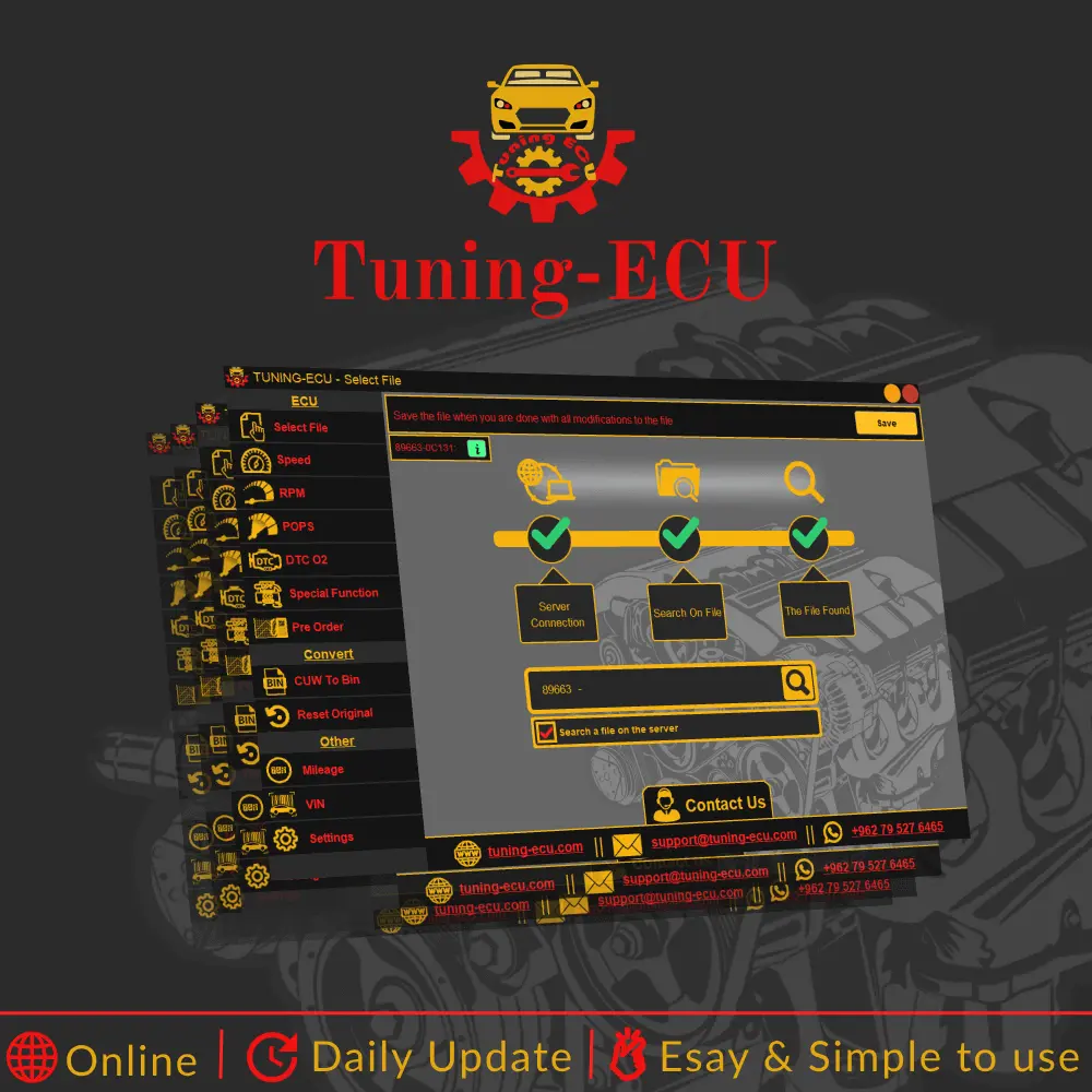 tuning-ecu program product